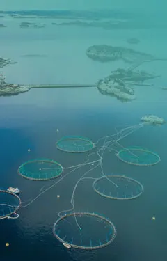 La-peche-et-aquaculture